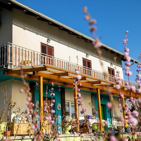 Farm Stay Synergia - Hiden Treasure Pazin Zewnętrze zdjęcie