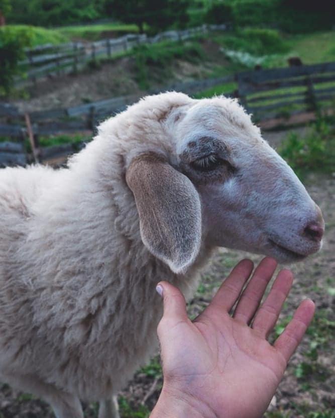 Farm Stay Synergia - Hiden Treasure Pazin Zewnętrze zdjęcie