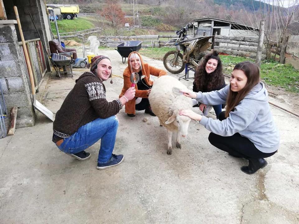 Farm Stay Synergia - Hiden Treasure Pazin Zewnętrze zdjęcie