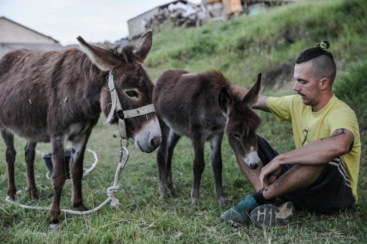 Farm Stay Synergia - Hiden Treasure Pazin Zewnętrze zdjęcie